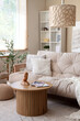 © Pixel-Shot - Interior of modern living room with white sofa, coffee table and olive tree