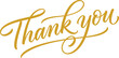 ©  Vectrix - Golden calligraphy thank you lettering with elegant swirls and flourishes on a white background