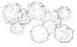 © Manon - Tree grove in plan view for use in architectural drawing