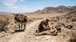 © Devaji - The Good Samaritan helping a wounded, beaten man on a dusty desert road. Biblical parable of mercy and compassion
