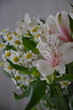 © Кристина Горошко - a bouquet of white flowers with daisies