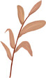 © DottoroStudio - Pale pinkish autumn leaf branch illustration with crayon oil pastel texture on a transparent background.