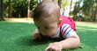 © Marco - Adorable baby infant boy crawling outside at park