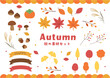 © Karin - 秋の素材セット 秋素材　ベクターイラスト 　紅葉 イチョウ 落ち葉 ススキ どんぐり 栗 柿 きのこ 木 枝 リボン