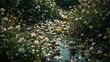 © Lasvu - A pond with water lilies and daisies surrounded by greenery in a natural setting.