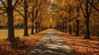 © Lasvu - A peaceful pathway through autumn trees with benches along the sides, highlighting a scenic fall landscape.