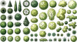 © MDJIAUDDIN - Set of top view tree and shrub icons for architectural landscape design and site planning vector illustration
