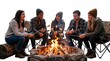© IR-Creative - Friends Roasting Marshmallows Around Campfire at Night