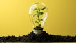 © Suka - Green plant grows inside a clear lightbulb filled with soil against a yellow background