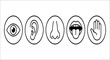 © vectors home - Five Sense Organs Icons In Circles Black Line Art On White Background anatomy body circle