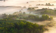 © Piotr Krzeslak - High view of fog over trees