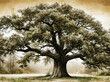 © Dar1930 - Vintage Oak Tree Botanical Illustration – AI Generative