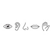 © MDMONIR - Five human senses line art vector