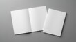 © Ronnayut - Blank brochures, both open and closed, on a grey background viewed from above for design mock up