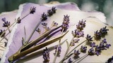 Dried lavender flowers on vintage paper. Botanical herbarium with tweezers for crafting.