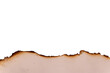 © panadesignteam - Vintage Burnt Paper Border Bottom with Light Brown Scorched Edge