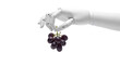© Pixel - Robotic hand carefully holding a cluster of fresh purple grapes on transparent background
