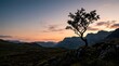 © Deri - Lone tree silhouette against a mountainous sunset horizon