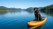 © Endruw - Black dog sitting on an orange paddleboard on a calm scenic lake