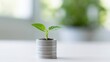 © Generative AI - Young plant sprouting from stack of coins, symbolizing financial growth and investment success