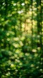 © MdJilu - Abstract natural background featuring soft green foliage and golden sunlight creating a beautiful bokeh effect in a peaceful forest setting during daytime