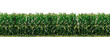 © Life Is Art - Dense green corn field, agricultural crop rows, maize plants, farming landscape, summer growth, lush foliage, vertical stalks in a field, harvest isolated on a transparent background