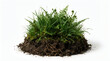 © Yeasin - Small patch of green grasses and ferns growing from a clump of rich soil with visible roots on white background