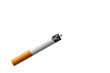 © Michael - Lit cigarette with ash isolated on transparent background