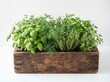 © Pure Pro Stock - Fresh green herbs growing in a rustic wooden planter box for kitchen cooking and healthy organic food preparation at home