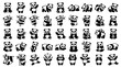 © MdBarat - Cute cartoon panda vector illustration set with baby bears bamboo parent and cub adorable wildlife characters isolated on white background