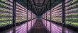 © Mino - Indoor vertical farm with rows of growing plants under vibrant purple LED lights, modern agricultural technology for sustainable food production