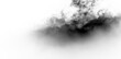 © Liubov - Black smoke on a transparent background rising in a swirling motion during a daytime event or activity