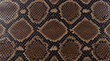 © Amity - Python snake skin texture with diamond scale pattern