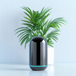 © Escapefrommm - Contemporary home design featuring a chic indoor plant beside a smart technology device on a sleek minimalist table