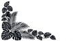 © Md. Tanjim Tanvir - Black and white tropical leaf corner border illustration