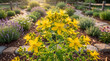 © Tatyana - Yellow St. John's Wort flowers in a vibrant medicinal garden