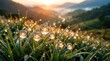 © Enjoy - Morning dew drops on green grass reflect science symbols in peaceful india landscape with sunlight and hills creating serene natural scene