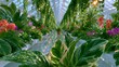 © DIMARIS MEDIA  - Lush greenery thrives beneath glass canopy