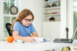 © Volodymyr - Kid using laptop for online studying at home. Child sitting at desk with laptop on virtual school lesson. Child learning with laptop. Young student . Kids watch online class on laptop.