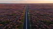 © peno - Perfect symmetrical top view of a straight asphalt road cutting through an endless natural field of wild purple heather and lavender bushes, geometric lines of nature, soft evening light, abstract