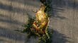 © Ihsan - Cracked concrete wall revealing a lush hidden garden with vibrant flowers and golden sunlight breaking through
