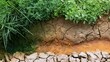 © Kristina - Dry soil and vegetation along a small stream in a rural area during daytime