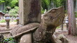 © MasaoYamada - Traditional stone turtle statue carrying a monument in Japan