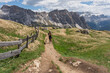 © Rokas - Young woman hiking away with her dog along a narrow dirt trail on a grassy mountain ridge next to a rustic wooden fence, spectacular alpine rock formations concept