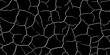 © feroj - Black cracked surface with large white fissures for dramatic grunge texture backgrounds