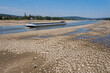 © K. Dobler - Frachtschiff auf dem Rhein bei extremem Niedrigwasser mit weitläufigen freiliegenden Kiesbänken und ausgetrocknetem Flussbett. Symbolbild für Dürre, Wasserknappheit, Klimawandel sowie die Folgen niedr