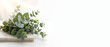 © Akku - Fresh Eucalyptus Leaves on White Marble Background with Copy Space