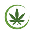 © Arju - Green cannabis leaf icon inside a circular brush stroke vector illustration