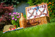 © Maria - Picnic basket on green sunny lawn in the park