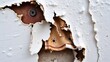 © Wahyu - Weathered white paint peeling away exposing corroded metal surface beneath structural damage